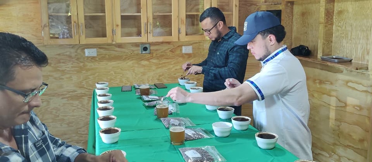 Sesión de cata / cupping de café
