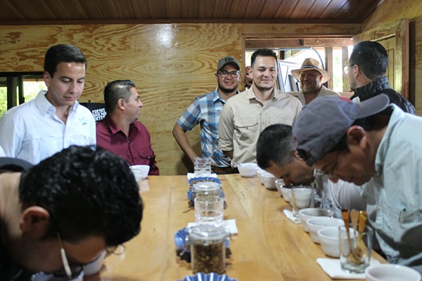 Curso de café — sesión de catación