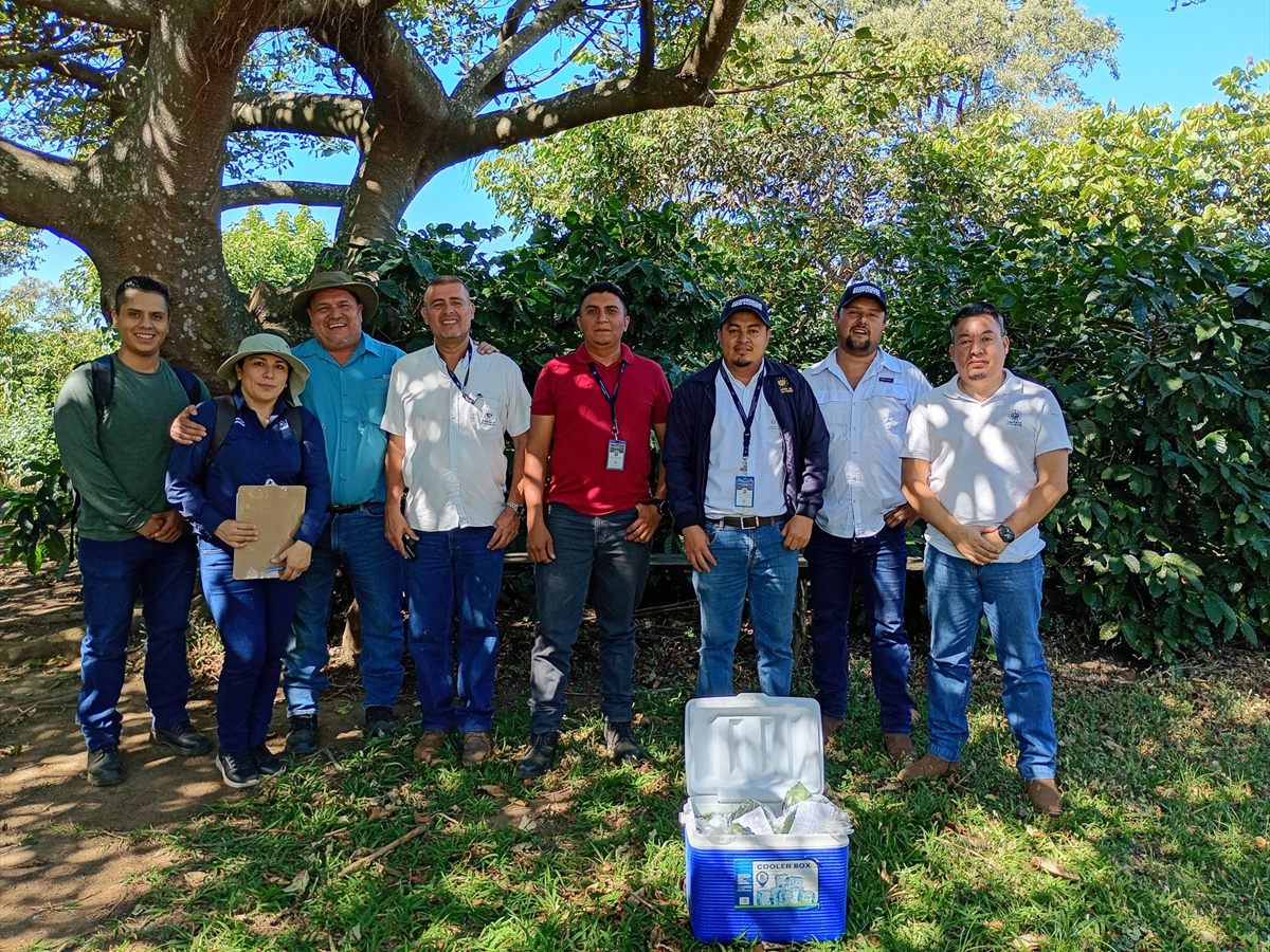 Visita del equipo técnico del Ministerio de Agricultura para verificar el proceso de semilla certificada