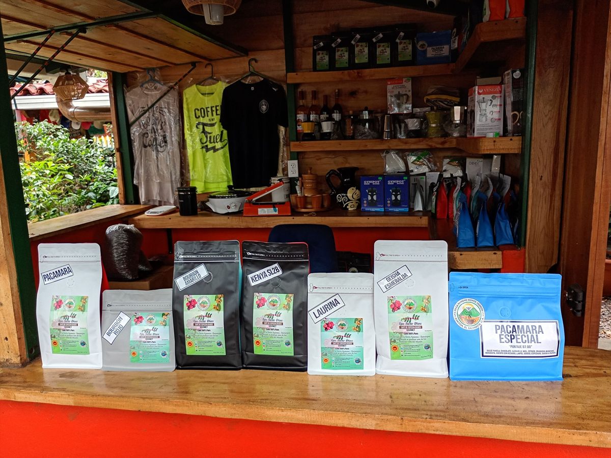 Lineup de bolsas de café en la tienda de Finca Rancho Monte Hebrón — Pacamara, Kenya 03, Laurina y más